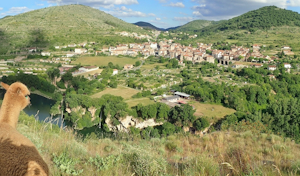 vue de st Rome de Tarn