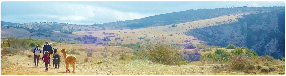 Les Zalpagas sur le Larzac