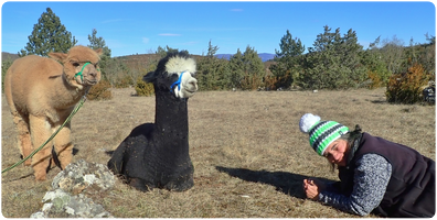 Bien préparer sa randonnée