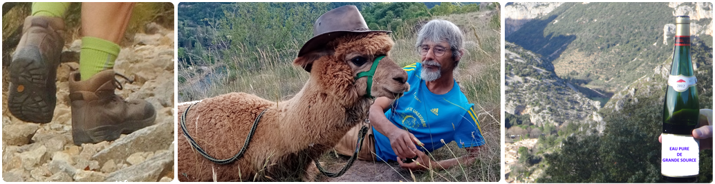 Les Zalpagas enrandonnée