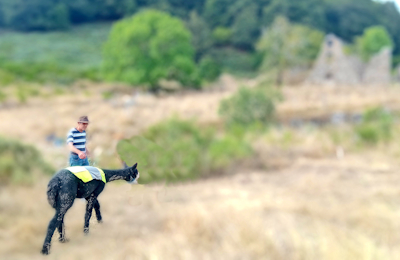 Comme un tableau impressionniste