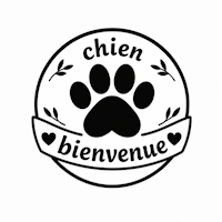 chien bienvenu