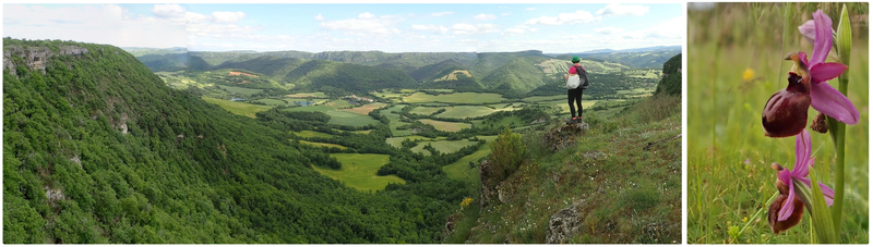 Marche sur le Larzac