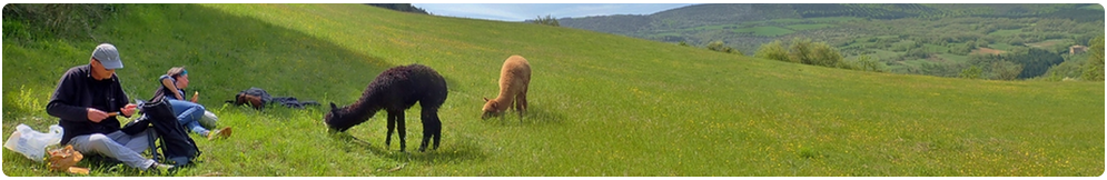 piquenique dans la vallée du tarn