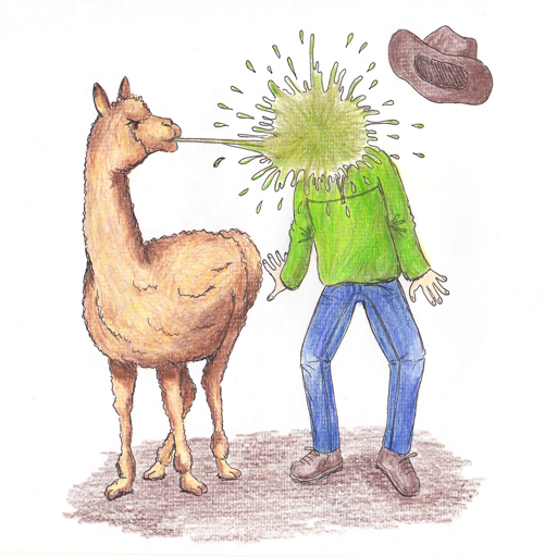 Quand lama fâché, lui toujours faire ainsi !